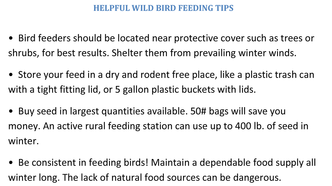 Helpful Wild Bird Feeding Tips